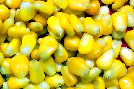 Sweet Corn Kernals